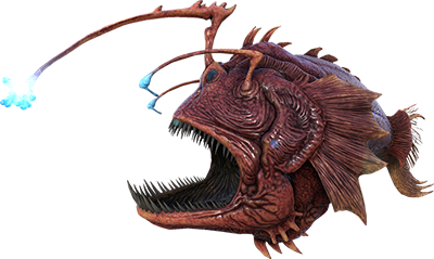 Angler-ARK Merchant