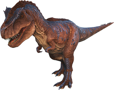 Rex-ARK Merchant
