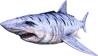 Megalodon-ARK Merchant