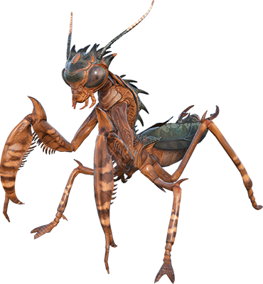 Mantis-ARK Merchant