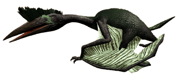 Quetzal-ARK Merchant