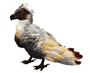 Argentavis-ARK Merchant