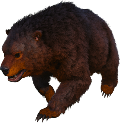 Direbear-ARK Merchant