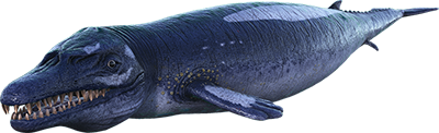 Basilosaurus-ARK Merchant