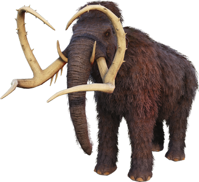 Mammoth-ARK Merchant