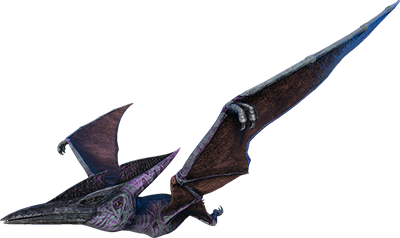 Pteranodon-ARK Merchant